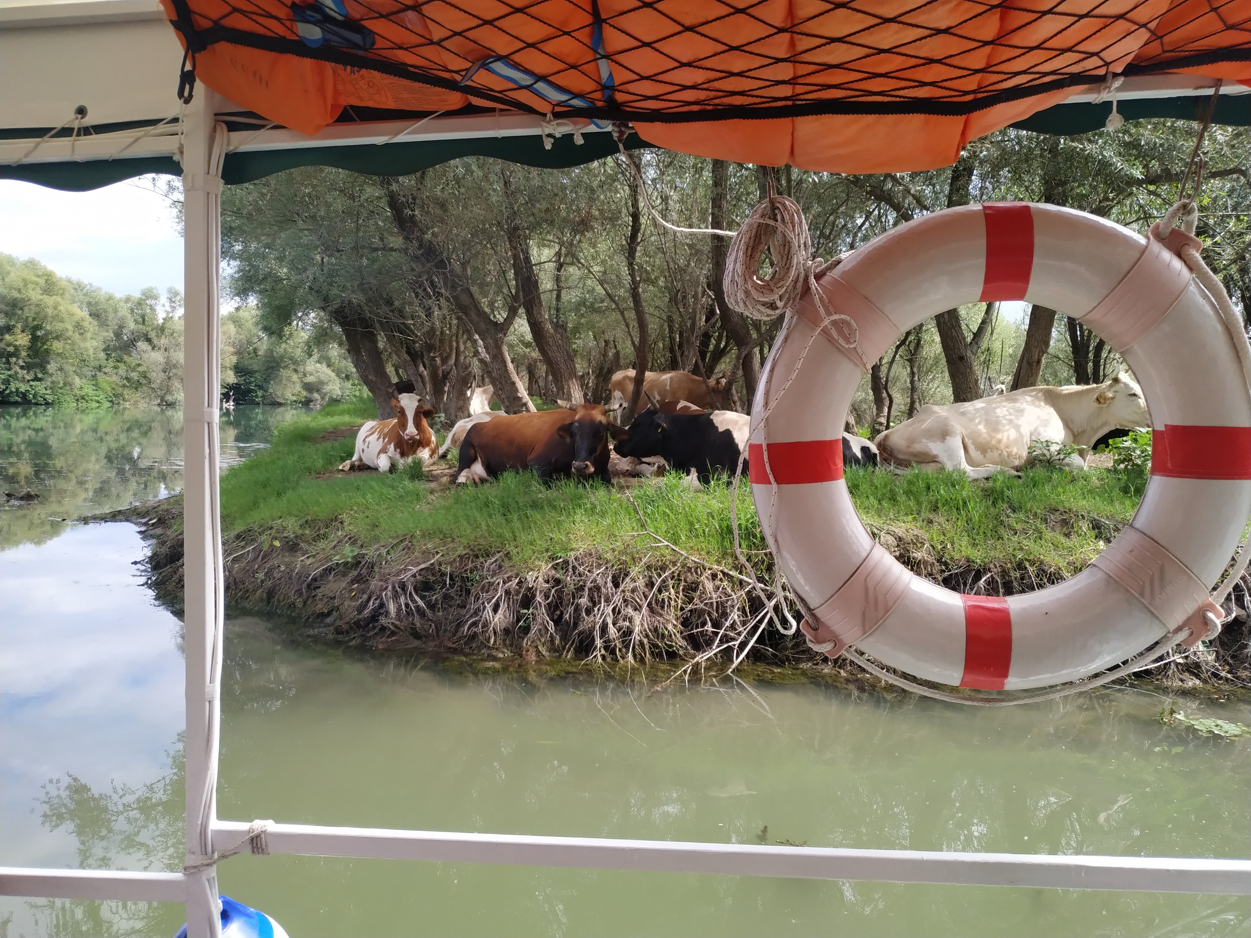 Custom tour on Skadar Lake
