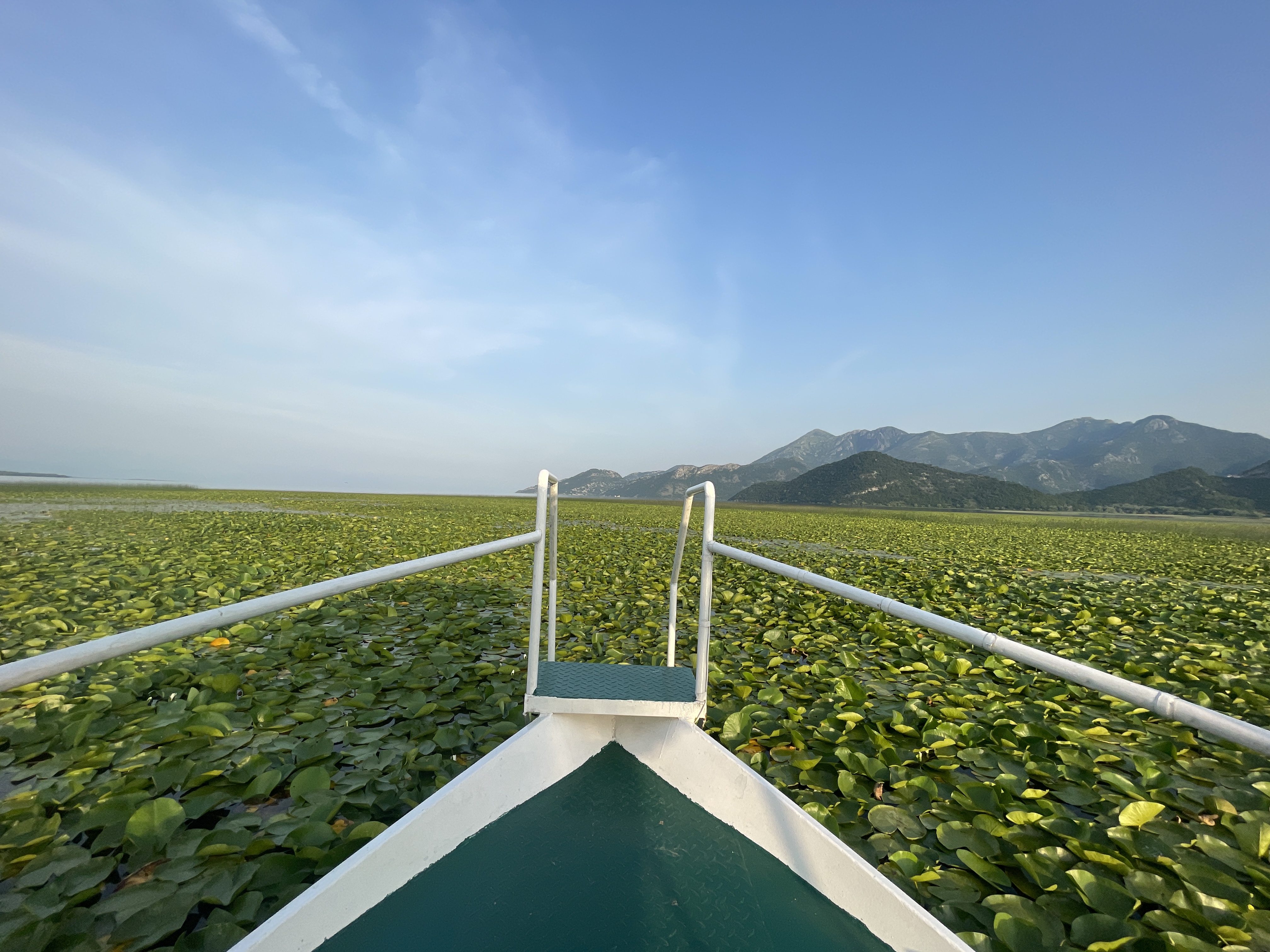 Custom tour on Skadar Lake