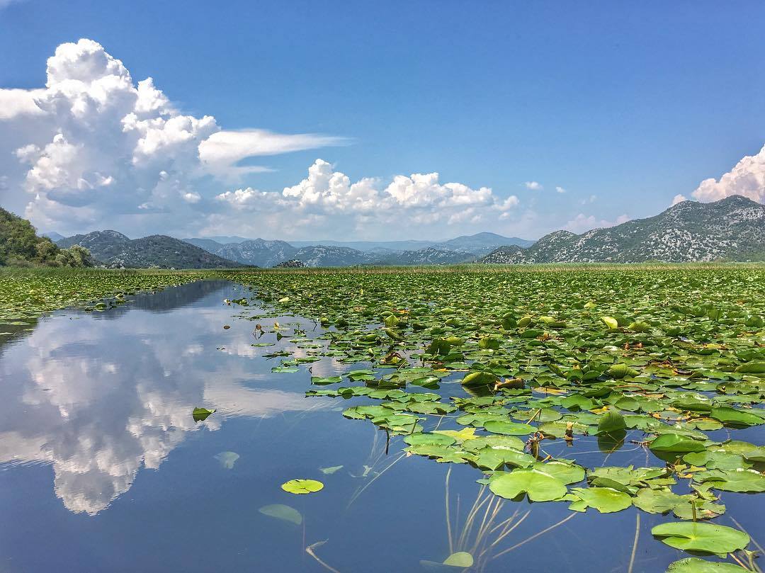 Full day exploration of Skadar Lake