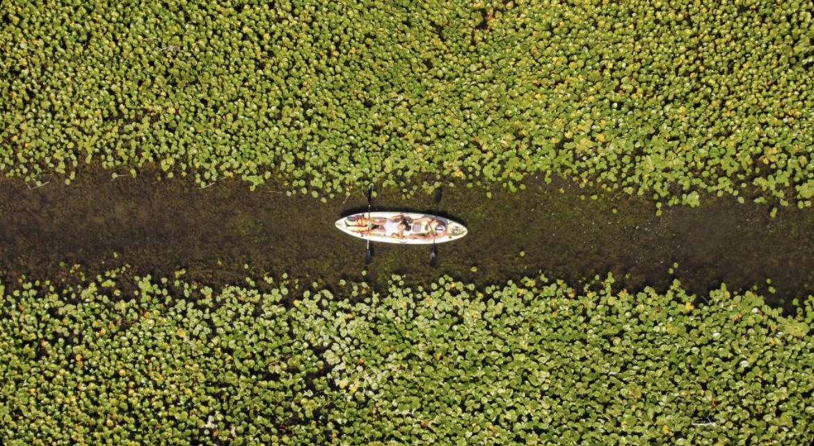 Kayaking on Skadar Lake