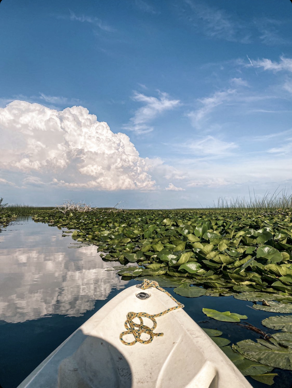 Kayaking on Skadar Lake