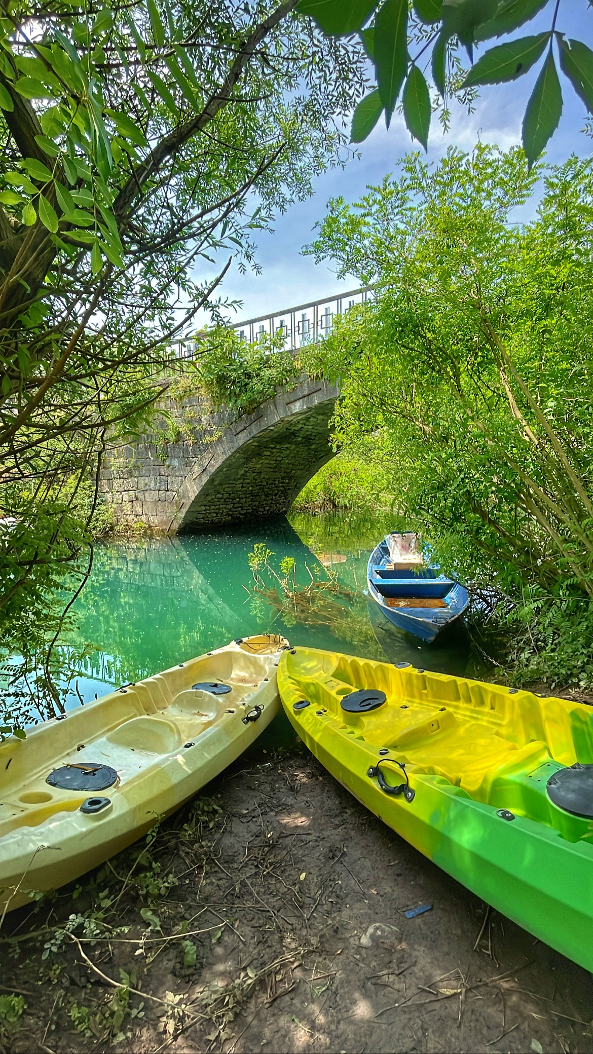 Kayaking on Skadar Lake