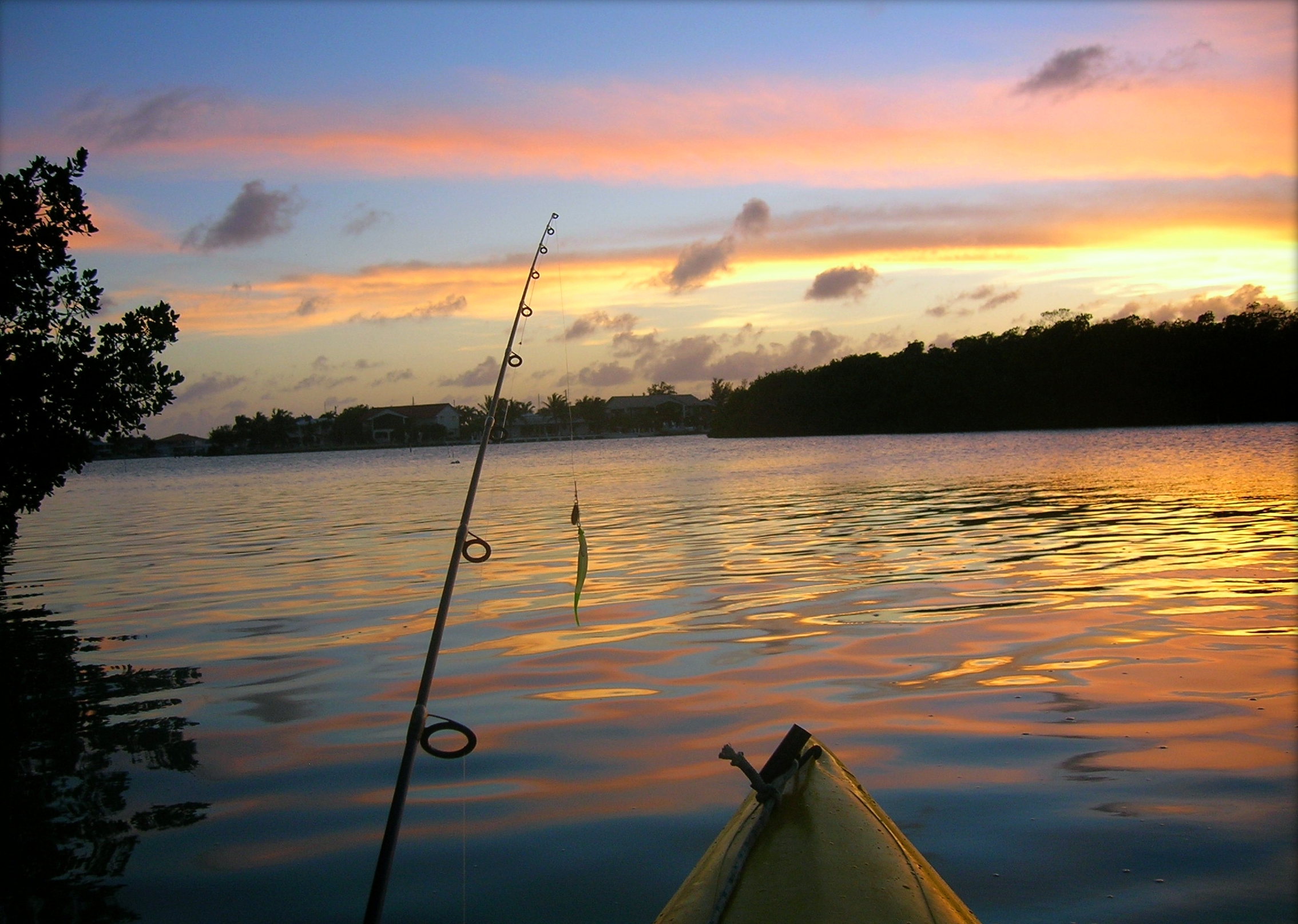 Kayaking on Skadar Lake