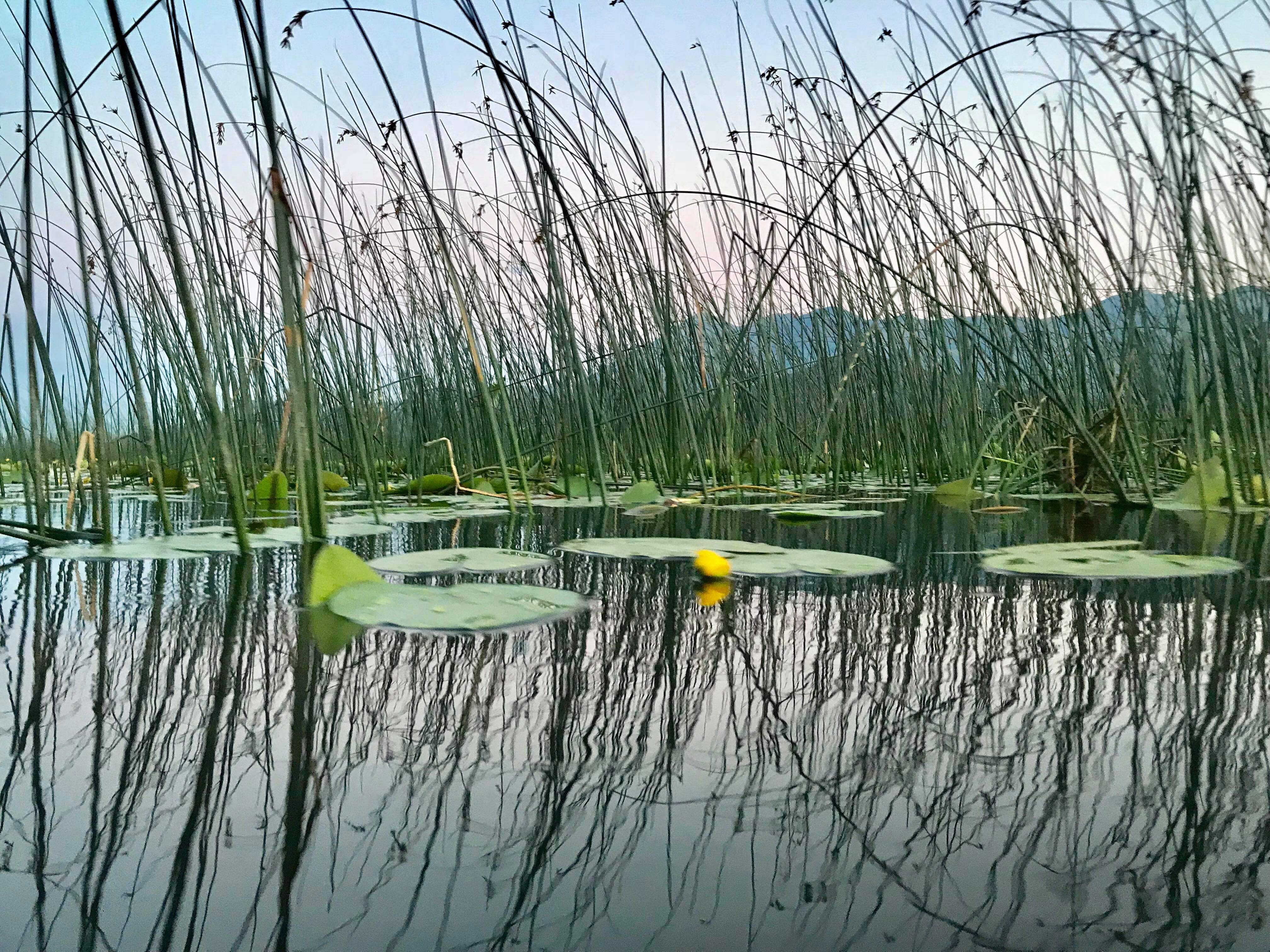 Pavlova Strana scenery